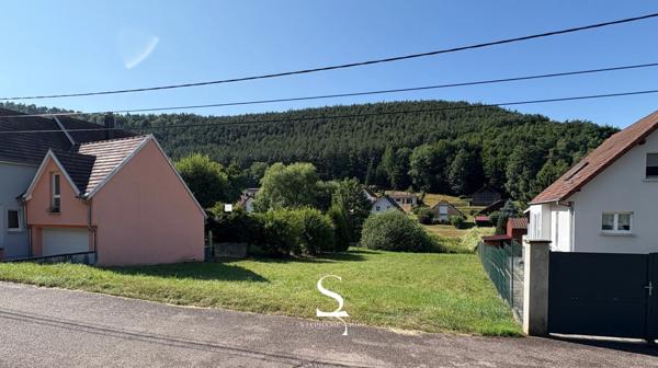 À VENDRE - Terrain constructible proche Niederbronn-Les-Bains et Reichshoffen