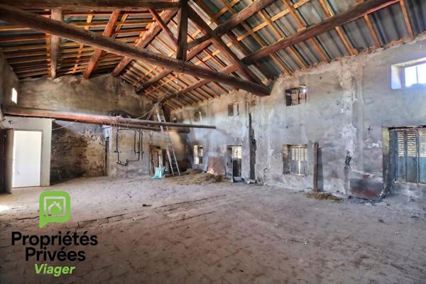 VIAGER OCCUPE - Maison de ville de caractère avec jardin et dépendances ? Alès