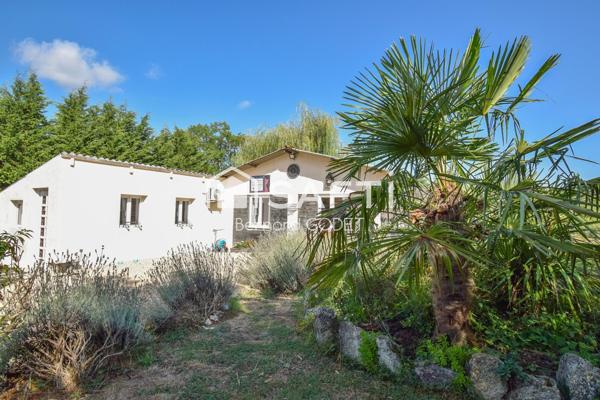 PENSION FÉLINE HAUT DE GAMME + MAISON D’HABITATION