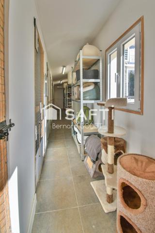 PENSION FÉLINE HAUT DE GAMME + MAISON D’HABITATION