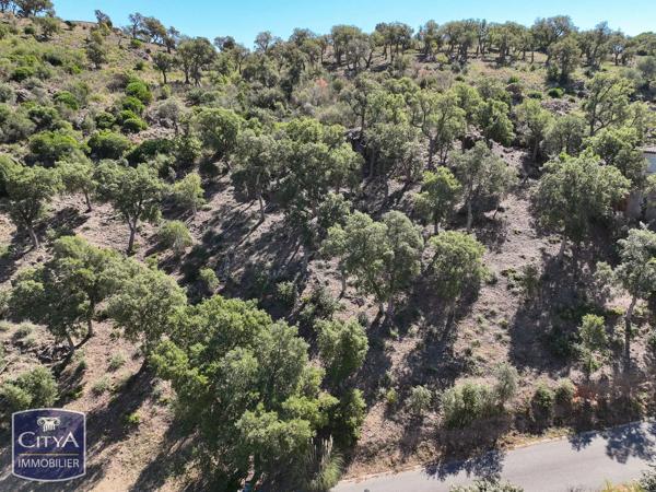 Terrain à vendre Sainte-Maxime (83120)
