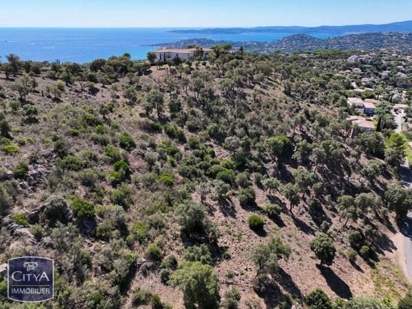 Terrain à vendre Sainte-Maxime (83120)