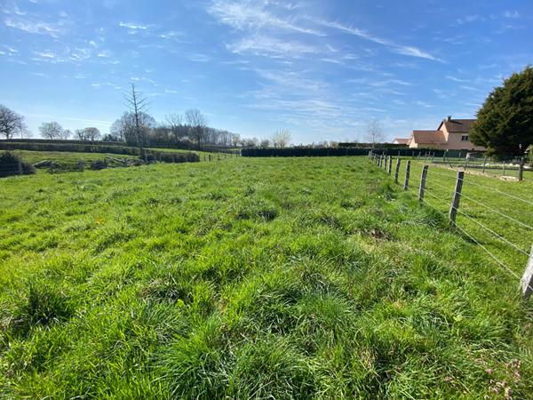 Terrain Saint Leger Les Paray 983 m2