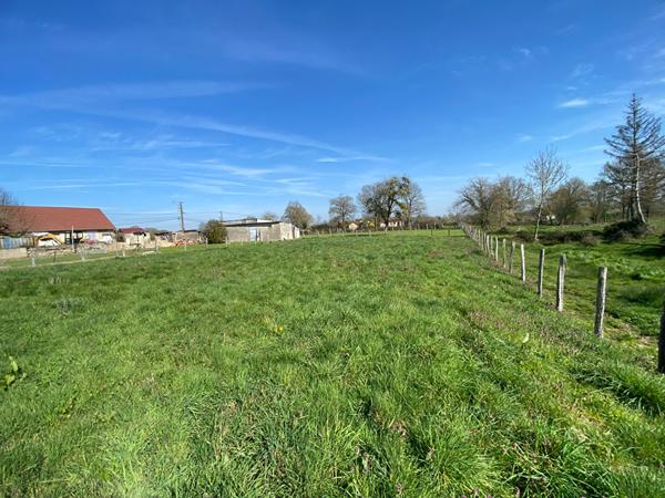 Terrain Saint Leger Les Paray 983 m2