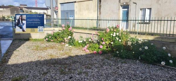 Maison ancienne Matha 110 m²