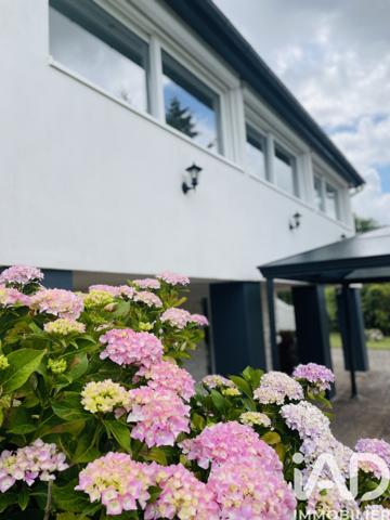 Maison à vendre 11 pièces 184,63 m² Le Blanc