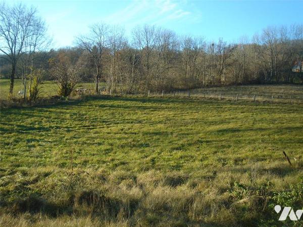 VENTE EN COURS TERRAIN À BÂTIR - SAINTE ANNE
