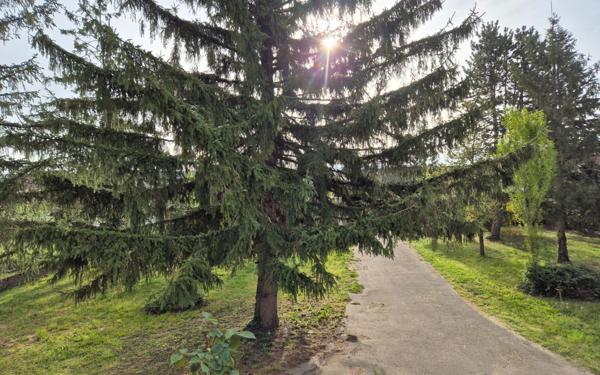 Maison à vendre    6 pièces • 167 m2 Andrézieux-Bouthéon