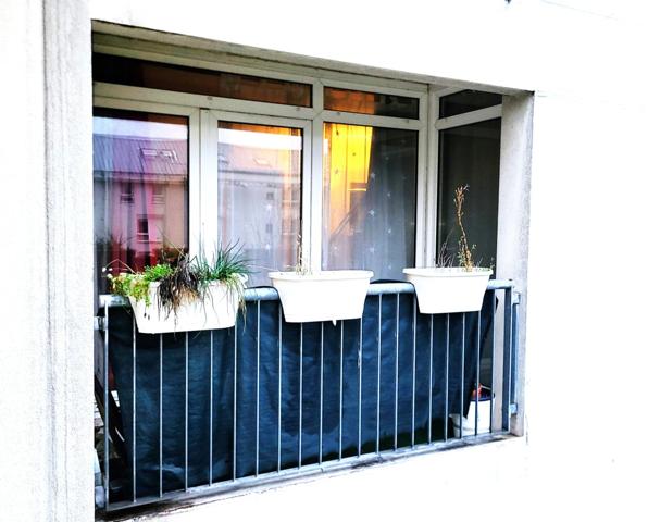 Très bel appartement de 2 pièces de 53 m² avec box privé, à deux pas du lac de Créteil (94000)