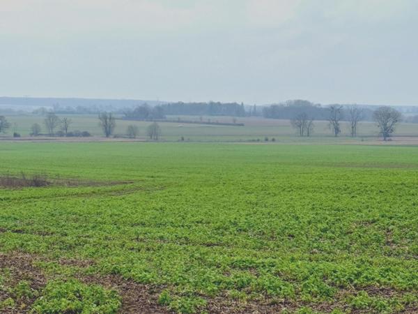 Terrain à vendre  proche de GRISY LES PLATRES (95)