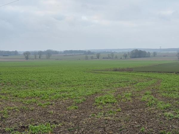 Terrain à vendre  proche de GRISY LES PLATRES (95)