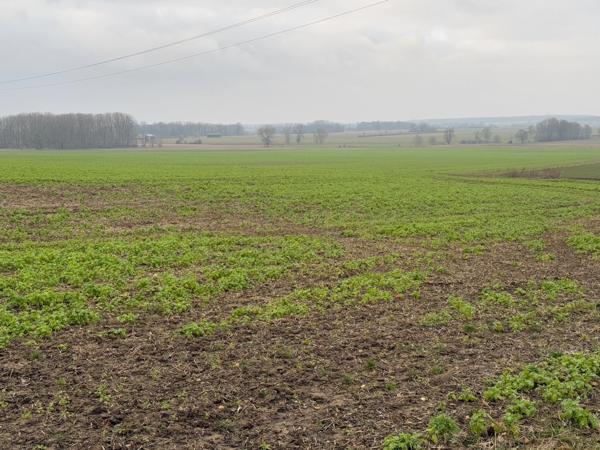 Terrain à vendre  proche de GRISY LES PLATRES (95)