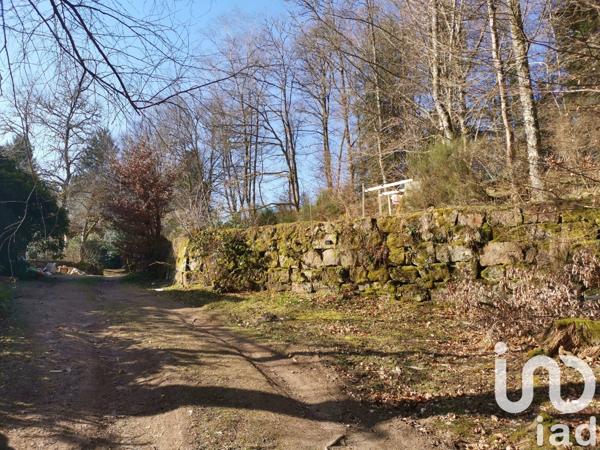 Maison à vendre 6 pièces 136 m² Peyrelevade