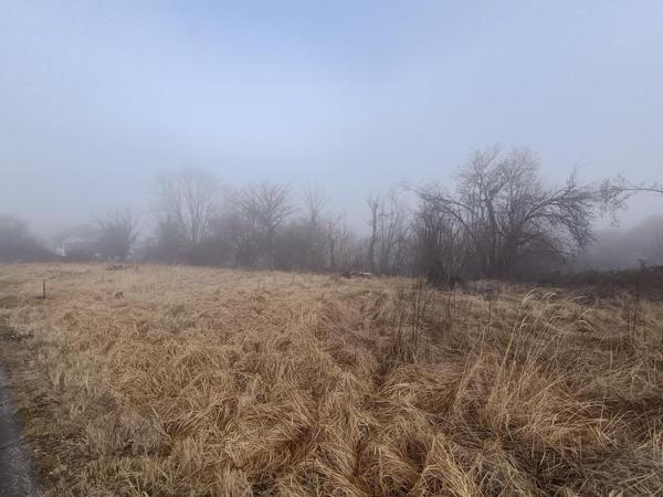 Grand terrain viabilisé