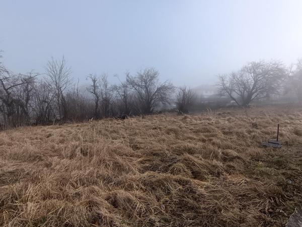 Grand terrain viabilisé