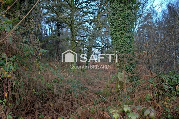 Propriété de caractère avec volumes et dépendance.