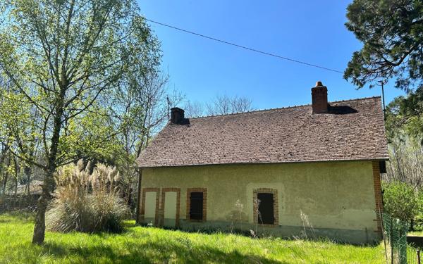 Maison à louer    3 pièces •  Mur-de-Sologne