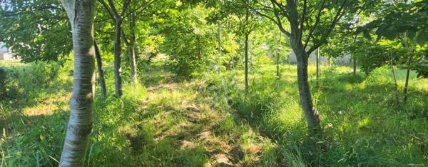 PLÉDRAN – MAISON 4 GRANDES CHAMBRES SUR 1900 m² DE TERRAIN – FORT POTENTIEL