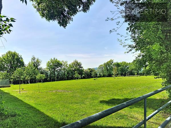 Centrès (12120) Splendide Maison 5P 4CH + Caves + Grange + Jardin + Terrain arboré