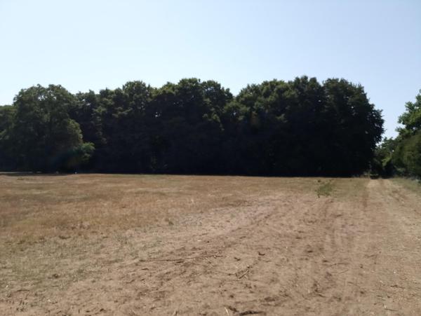 magnifique terrain constructible à la campagne