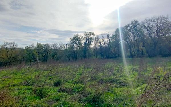 Maison à vendre    1 pièce •  Saint-Antonin-Noble-Val