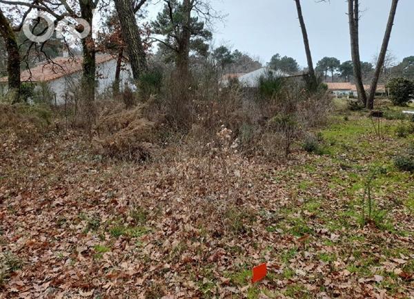 Terrain à vendre    Les Mathes