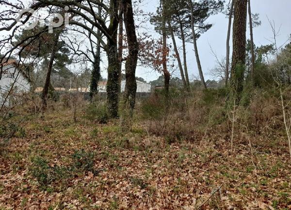 Terrain à vendre    Les Mathes