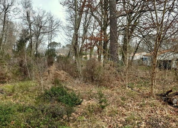 Terrain à vendre    Les Mathes