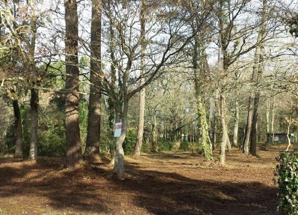 Terrain à vendre    Les Mathes