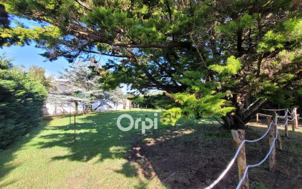 Terrain à vendre    Piriac-sur-Mer