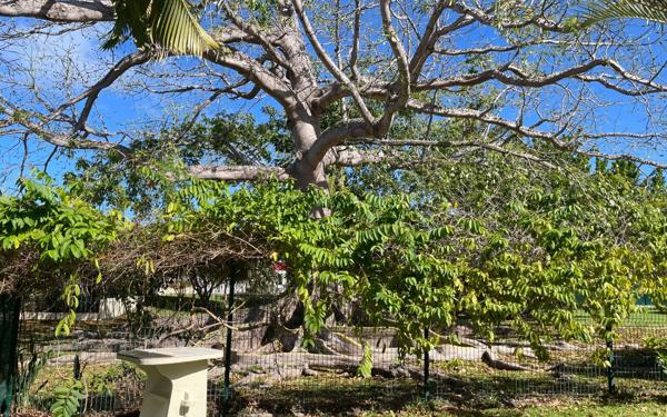 Maison à vendre    3 pièces • 58 m2 Saint-François