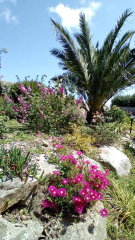 Charme de l’ancien, confort contemporain – Maison de 180 m² à Saint-Pol-de-Léon