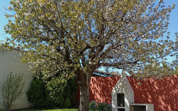 Maison à vendre    4 pièces • 153 m2 La Rochelle