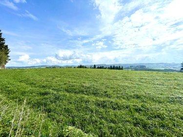 Maison à vendre à Saint-Chély-d'Apcher en Lozère (48200), ref : 48032-222