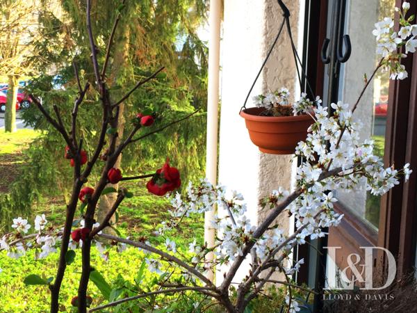 Appartement T3 / 72,45 m² - Très bon état