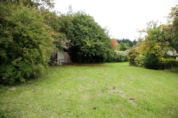 A proximité de la Belgique et du Luxembourg, maison 5 pièces, 140 m², terrain clos et arboré 2914 m² - 55 DUN SUR MEUSE (55)