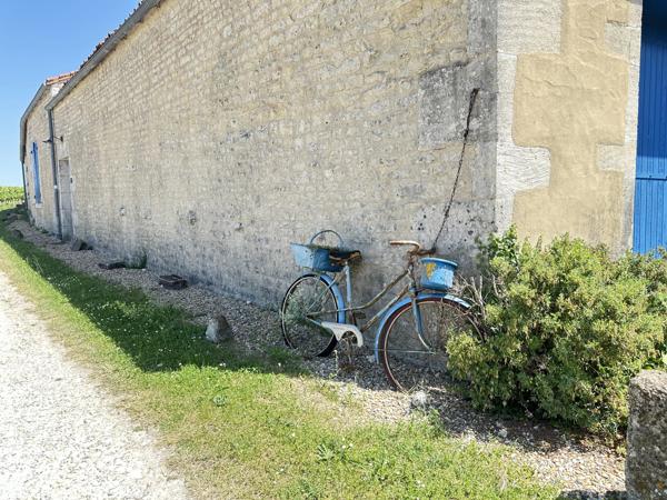 Charme, Caractère et Vues sur les Vignobles – Un Véritable Havre de Paix à la Campagne Française