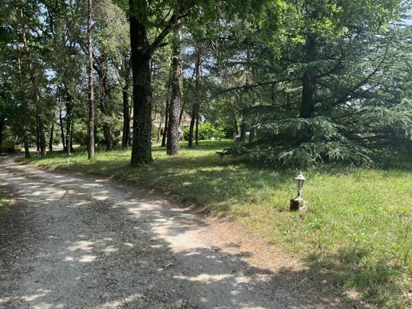 Terrain à vendre |  Dirac |  906 m²