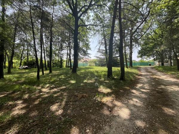 Terrain à vendre |  Dirac |  906 m²