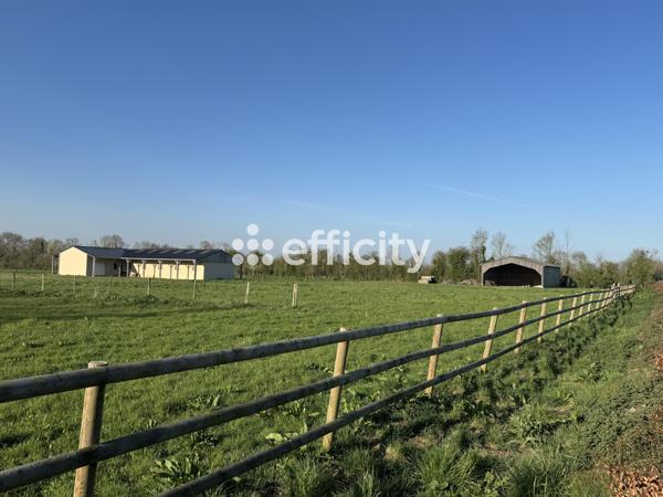 Maison 2 pièces - 40 m² Exclusivité efficity