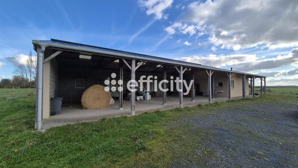 Maison 2 pièces - 40 m² Exclusivité efficity