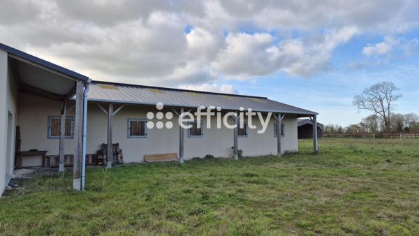 Maison 2 pièces - 40 m² Exclusivité efficity