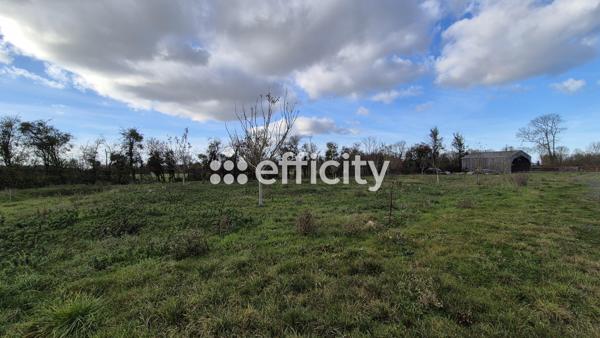 Maison 2 pièces - 40 m² Exclusivité efficity