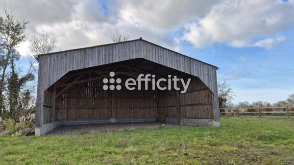 Maison 2 pièces - 40 m² Exclusivité efficity