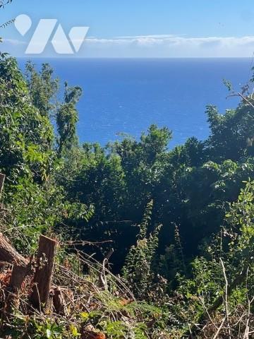 Terrain à la Montagne