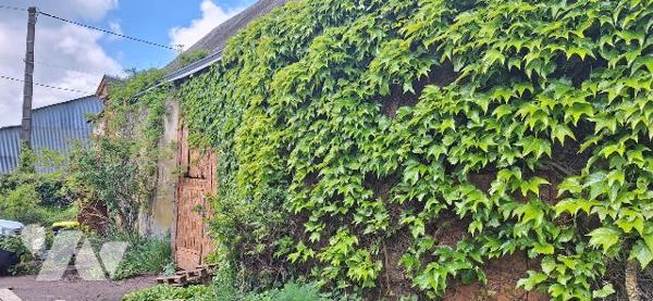 Une maison à usage d’habitation sise dite commune.