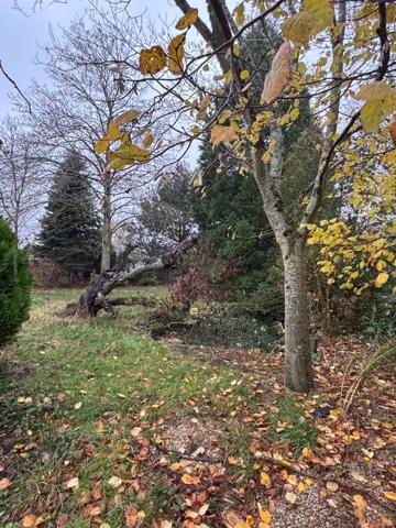 Terrain à fort potentiel, Saint Jean De Braye