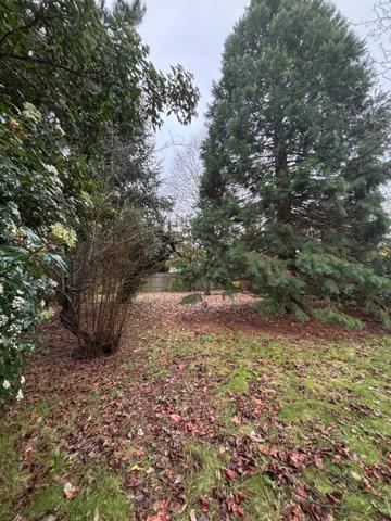 Terrain à fort potentiel, Saint Jean De Braye