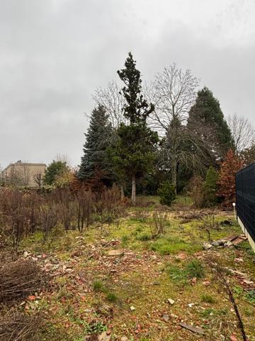 Terrain à fort potentiel, Saint Jean De Braye