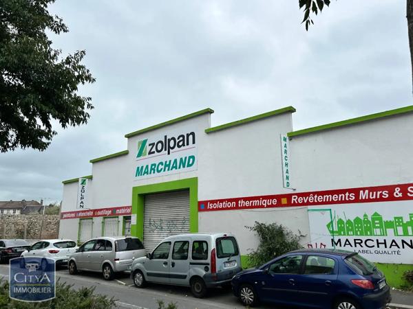 Local professionnel à vendre 500m²